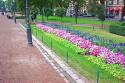 Helsinki Park
Picture # 811